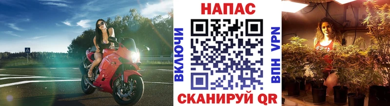 Бошки Шишки ГИДРОПОН hydra как войти Дегтярск